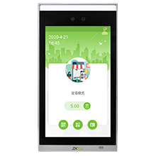 ZTHP100